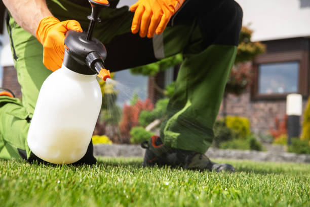 Bird Control in Windom, MN