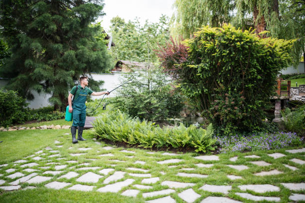 Best Cockroach Control Services  in Windom, MN