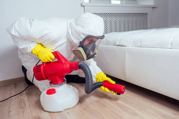 Best Pest Prevention Services  in Windom, MN