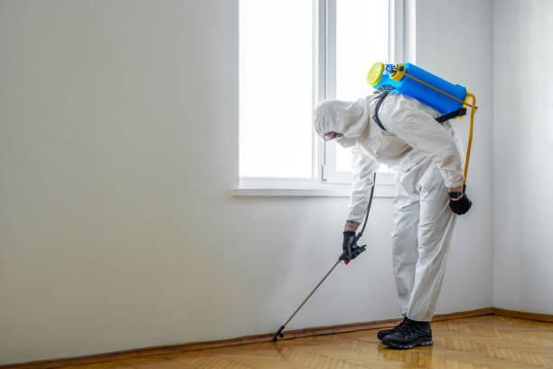Best Termite Control Services  in Windom, MN