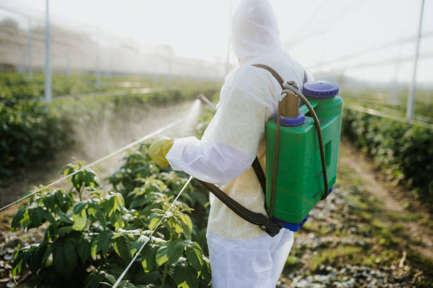 Best Affordable Pest Control Services  in Windom, MN